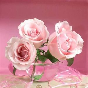 Meet your Posher, Jacky